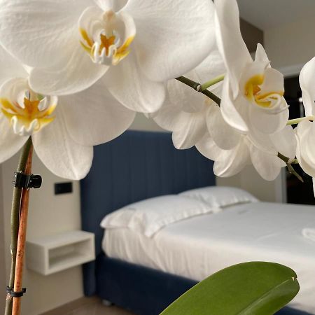 B&B L'Orchidea Tropea Bagian luar foto