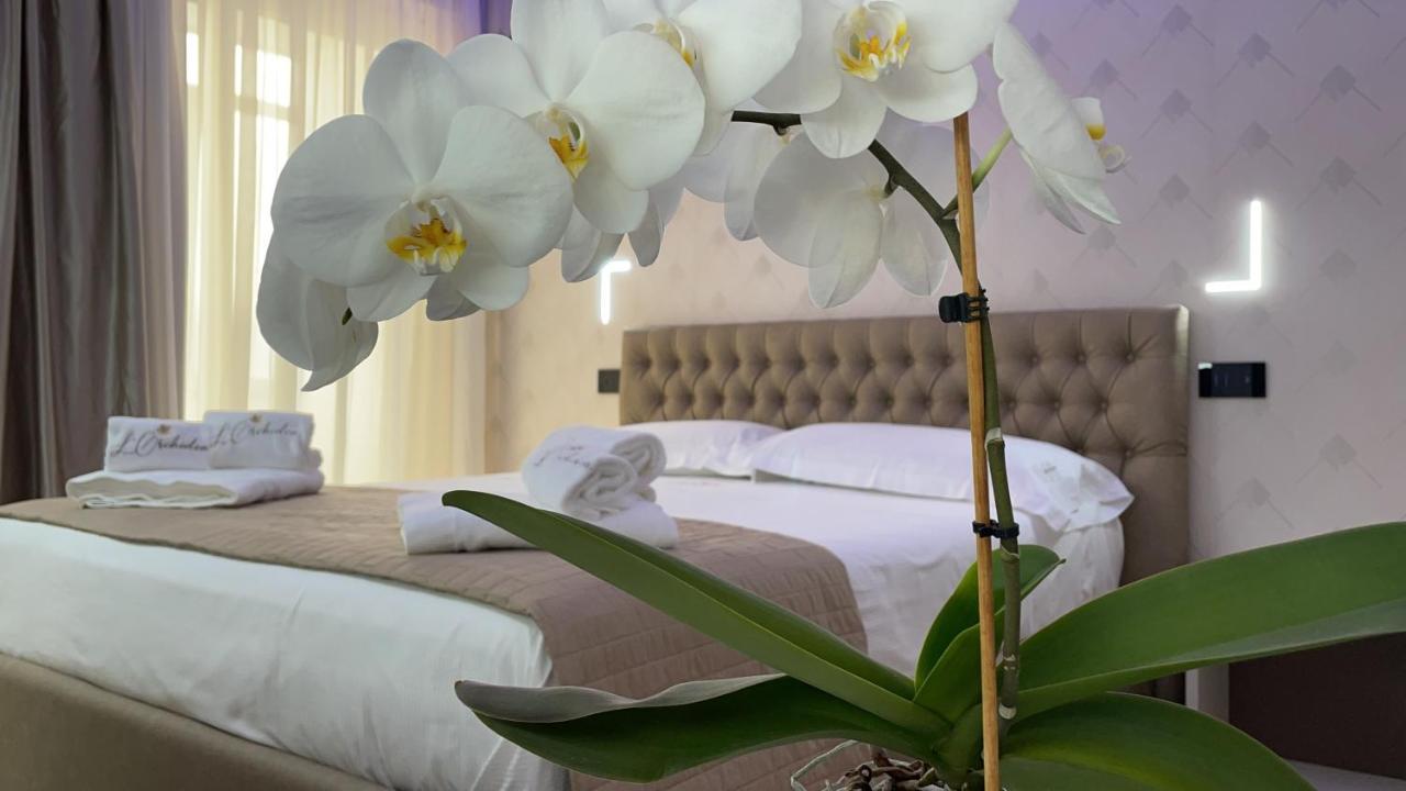 B&B L'Orchidea Tropea Bagian luar foto