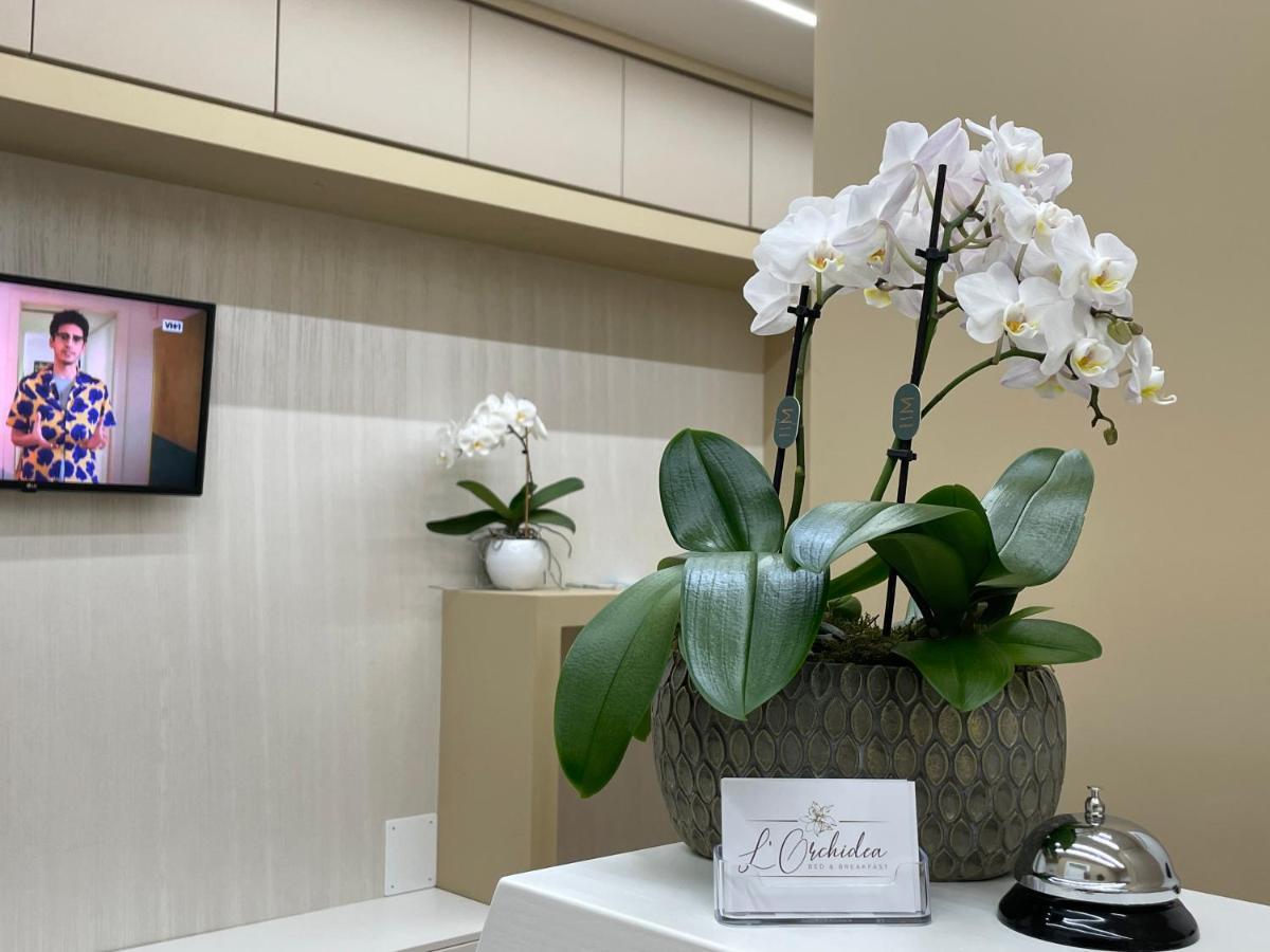 B&B L'Orchidea Tropea Bagian luar foto